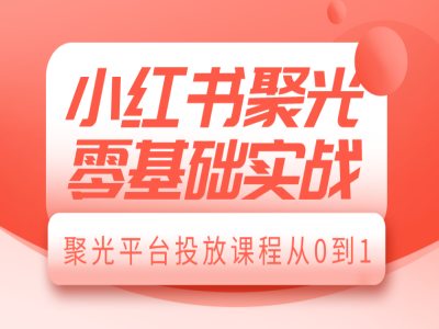 小红书聚光零基础实战，聚光平台投放课程从0到1-随风资源网