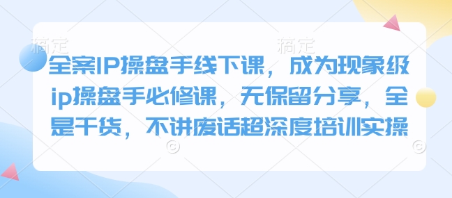 全案IP操盘手线下课，成为现象级ip操盘手必修课，无保留分享，全是干货，不讲废话超深度培训实操-随风资源网