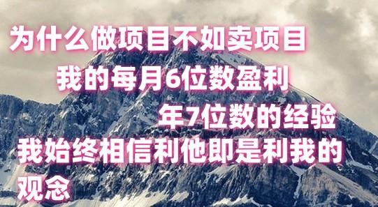 做项目不如卖项目，每月6位数盈利，年7位数经验-随风资源网