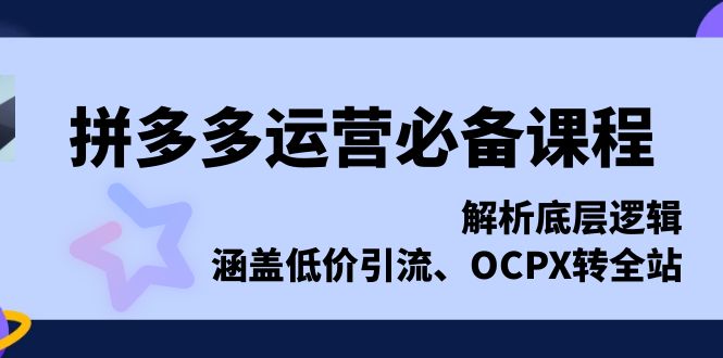 拼多多运营必备课程，解析底层逻辑，涵盖低价引流、OCPX转全站-随风资源网