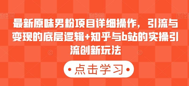 最新原味男粉项目详细操作，引流与变现的底层逻辑+知乎与b站的实操引流创新玩法-随风资源网