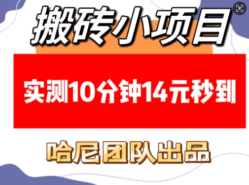 搬砖小项目，实测10分钟14元秒到，每天稳定几张(赠送必看稳定)-随风资源网