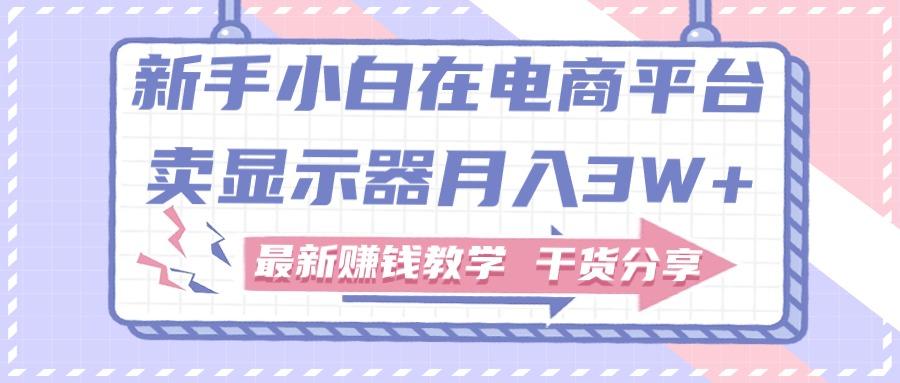 新手小白如何做到在电商平台卖显示器月入3W+，最新赚钱教学干货分享-随风资源网