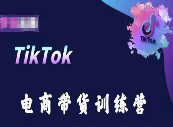 TikTok电商带货训练营，跟随时代潮流，跨境掘金-随风资源网