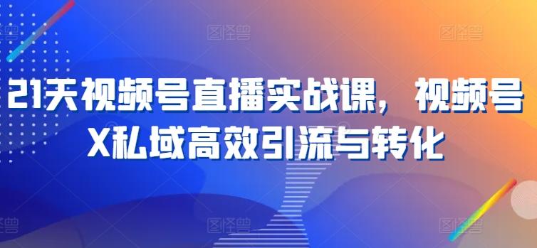 21天视频号直播实战课，视频号X私域高效引流与转化-随风资源网