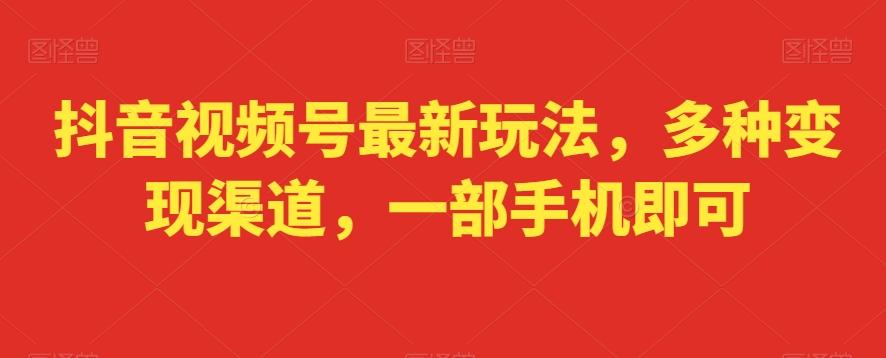 抖音视频号最新玩法，多种变现渠道，一部手机即可-随风资源网
