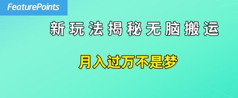 简单操作，每天50美元收入，搬运就是赚钱的秘诀【揭秘】-随风资源网