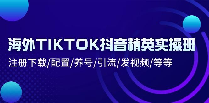 海外TIKTOK抖音精英实操班：注册下载/配置/养号/引流/发视频/等等-随风资源网