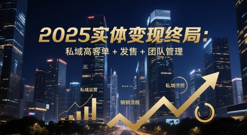 2025实体变现终局：私域高客单+发售+团队管理-随风资源网
