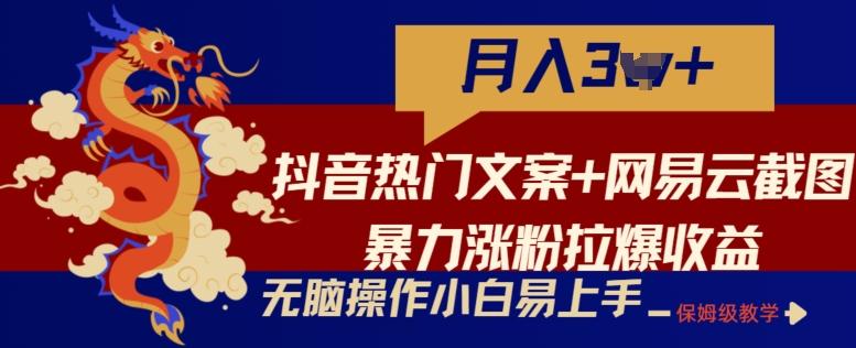 抖音热门文案+网易云截图暴力涨粉拉爆收益玩法，小白无脑操作，简单易上手【揭秘】-随风资源网