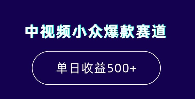 中视频小众爆款赛道，7天涨粉5万+，小白也能无脑操作，轻松月入上万【揭秘】-随风资源网