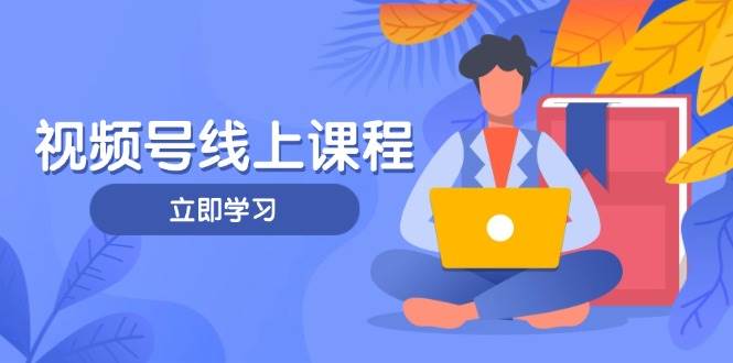 视频号实战课程，轻IP打造与运营技巧，掌握核心方法与策略-随风资源网