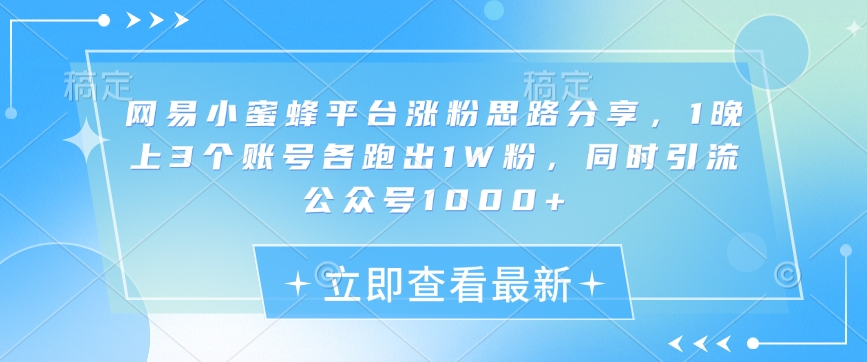 网易小蜜蜂平台涨粉思路分享，1晚上3个账号各跑出1W粉，同时引流公众号1000+-随风资源网