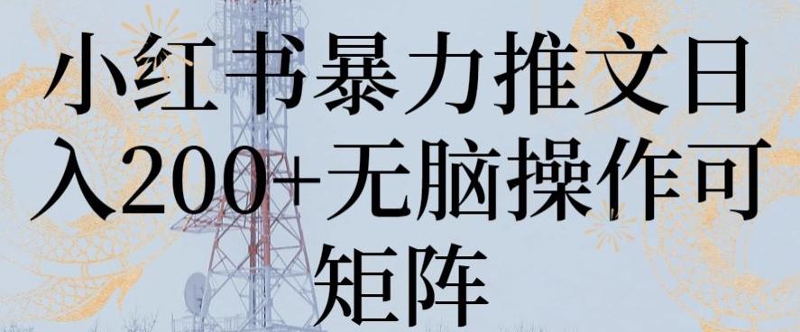小红书暴力推文日入200+无脑操作可矩阵【揭秘】-随风资源网