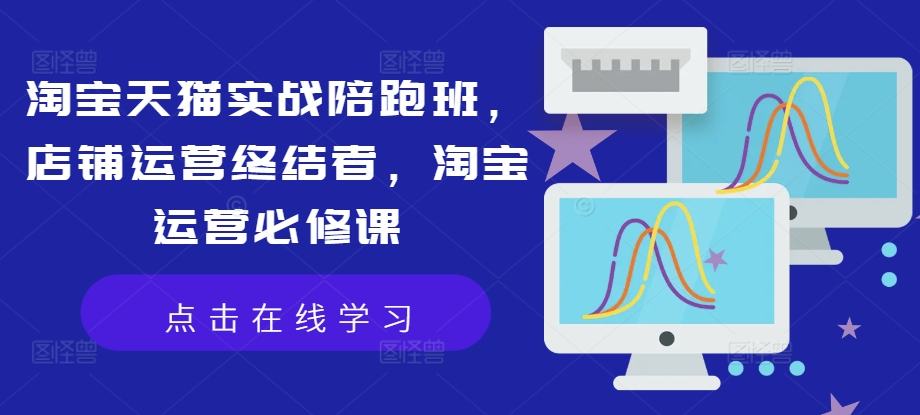淘宝天猫实战陪跑班，店铺运营终结者，淘宝运营必修课-随风资源网