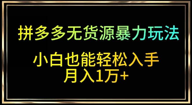 拼多多无货源暴力玩法，全程干货，小白也能轻松入手，月入1万+【揭秘】-随风资源网