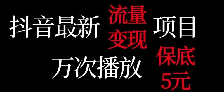 抖音流量变现，万次播放保底5元，额外收入-随风资源网