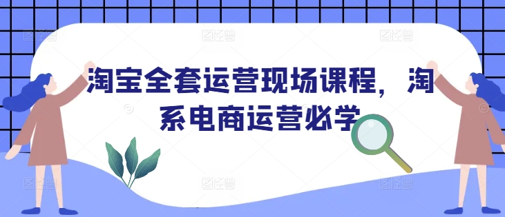 淘宝全套运营现场课程，淘系电商运营必学-随风资源网