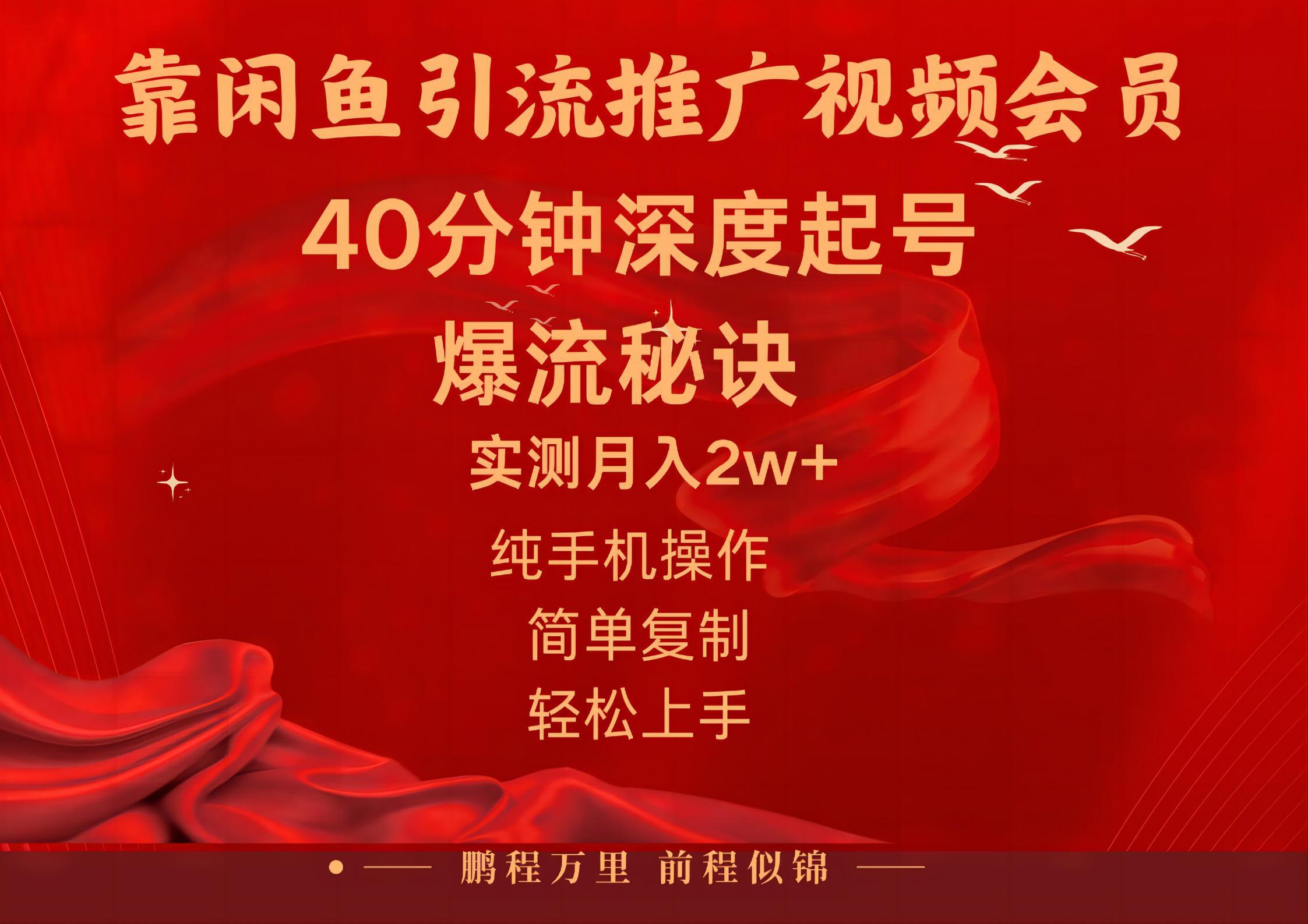 闲鱼暴力引流推广视频会员，能做到日入2W+，操作简单-随风资源网