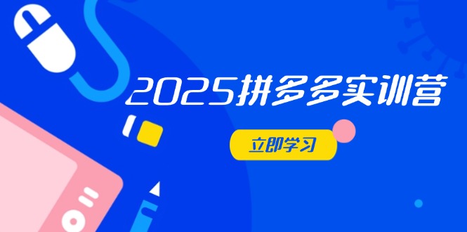 2025拼多多实训营：深度剖析运营关键，助力电商人快速提升-随风资源网