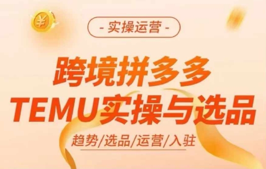 跨境拼多多TEMU实操与选品，多多temu跨境选品运营实操-随风资源网