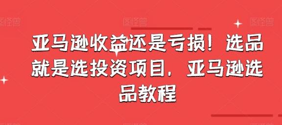 亚马逊收益还是亏损！选品就是选投资项目，亚马逊选品教程-随风资源网