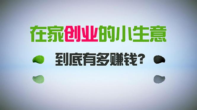 在家创业，日引300+创业粉，一年收入30万，闷声发财的小生意，比打工强-随风资源网