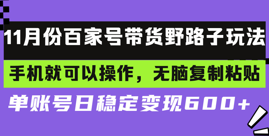 百家号带货野路子玩法 手机就可以操作，无脑复制粘贴 单账号日稳定变现…-随风资源网