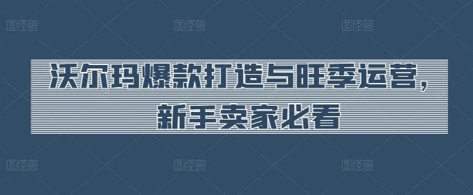 沃尔玛爆款打造与旺季运营，新手卖家必看-随风资源网