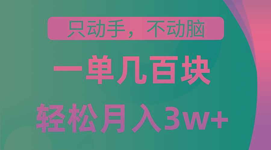 只动手不动脑，一单几百块，轻松月入3w+，看完就能直接操作，详细教程-随风资源网
