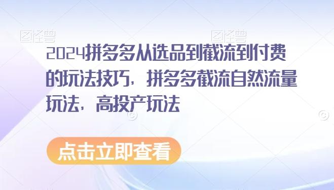 2024拼多多从选品到截流到付费的玩法技巧，拼多多截流自然流量玩法，高投产玩法-随风资源网