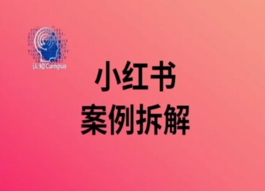 小红书案例拆解，深度解读小红书40万粉-随风资源网
