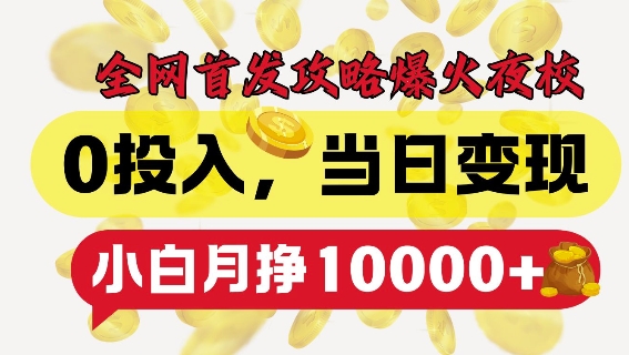 全网首发爆火夜校，0投入，当日变现，小白轻松月入1w+【揭秘】-随风资源网