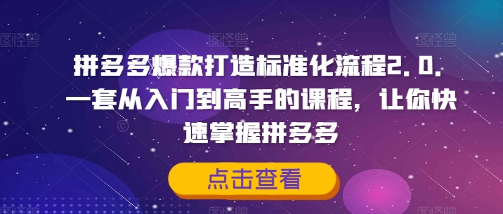 拼多多爆款打造标准化流程2.0，一套从入门到高手的课程，让你快速掌握拼多多-随风资源网
