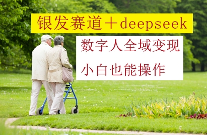 银发赛道+deepseek数字人全域变现，小白也能操作-随风资源网