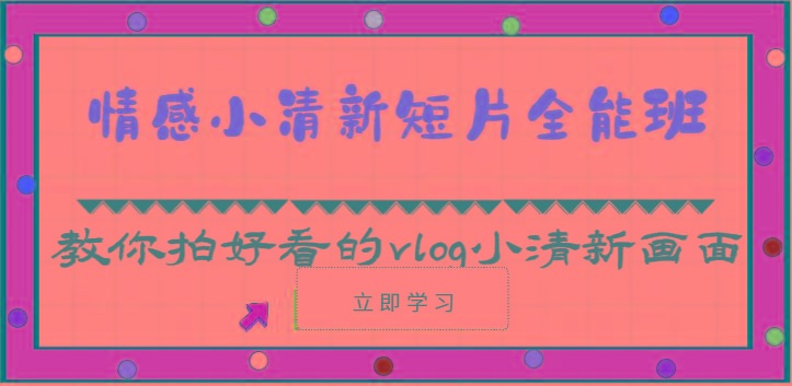 情感小清新短片全能班-教你拍好看的vlog小清新画面(30节课)-随风资源网