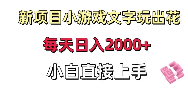 新项目小游戏文字玩出花日入2000+，每天只需一小时，小白直接上手【揭秘】-随风资源网