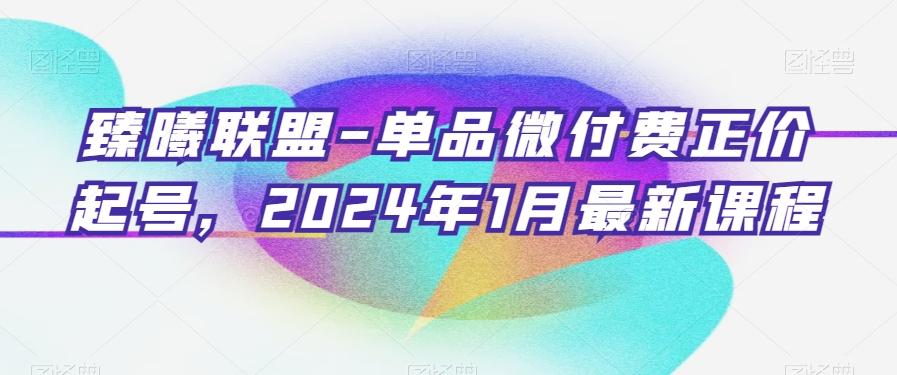 臻曦联盟-单品微付费正价起号，2024年1月最新课程-随风资源网