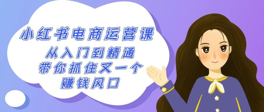 2024小红书电商运营课，从入门到精通，带你抓住又一个赚钱风口(50节课)-随风资源网