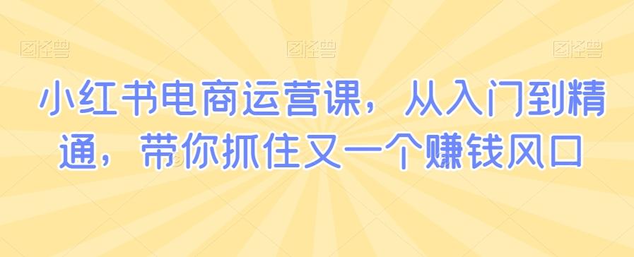 小红书电商运营课，从入门到精通，带你抓住又一个赚钱风口-随风资源网