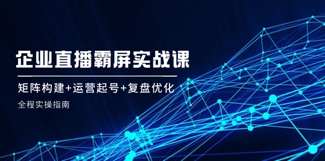 企业直播霸屏实战课：矩阵构建+运营起号+复盘优化，全程实操指南-随风资源网