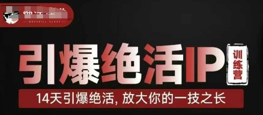引爆绝活IP训练营，14天引爆绝活，放大你的一技之长-随风资源网
