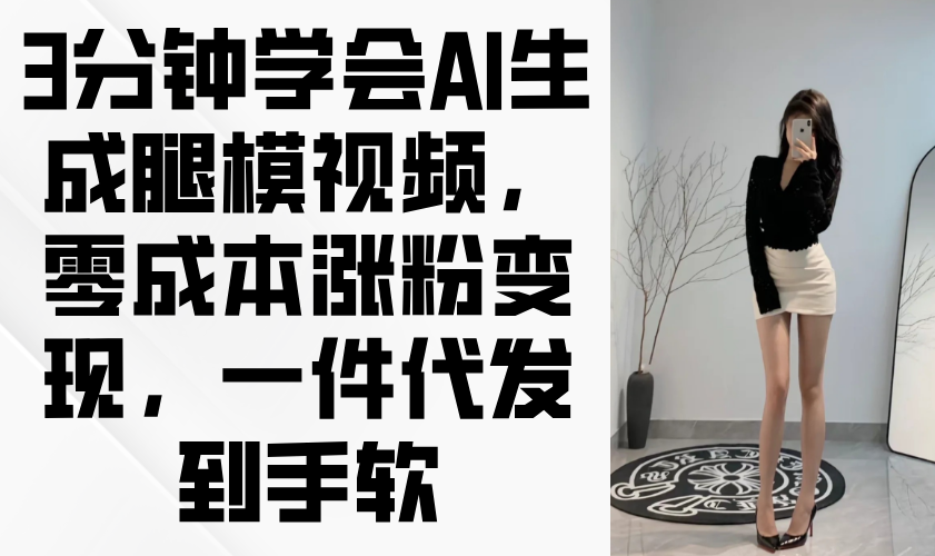 3分钟学会AI生成腿模视频，零成本涨粉变现，一件代发到手软-随风资源网