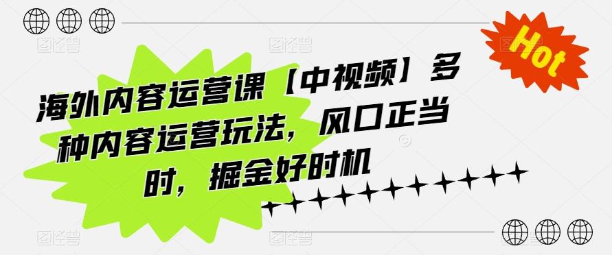 海外内容运营课【中视频】多种内容运营玩法，风口正当时，掘金好时机-随风资源网