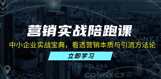 营销实战陪跑课：中小企业实战宝典，看透营销本质与引流方法论-随风资源网