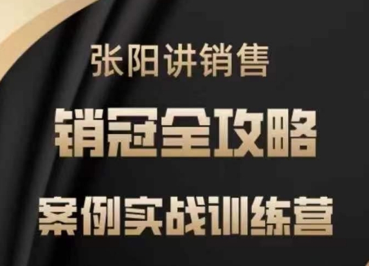 张阳讲销售实战训练营，​案例实战训练，销冠全攻略-随风资源网
