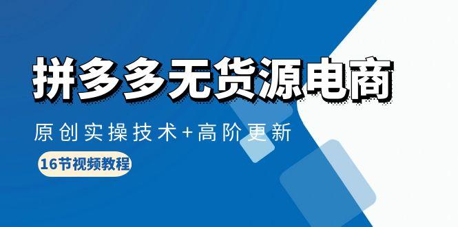 (10015期)拼多多无货源电商，原创实操技术+高阶更新(16节视频教程)-随风资源网