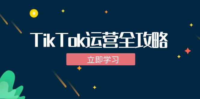 TikTok实战运营全攻略：从下载软件到变现，抖音海外版实操教程-随风资源网