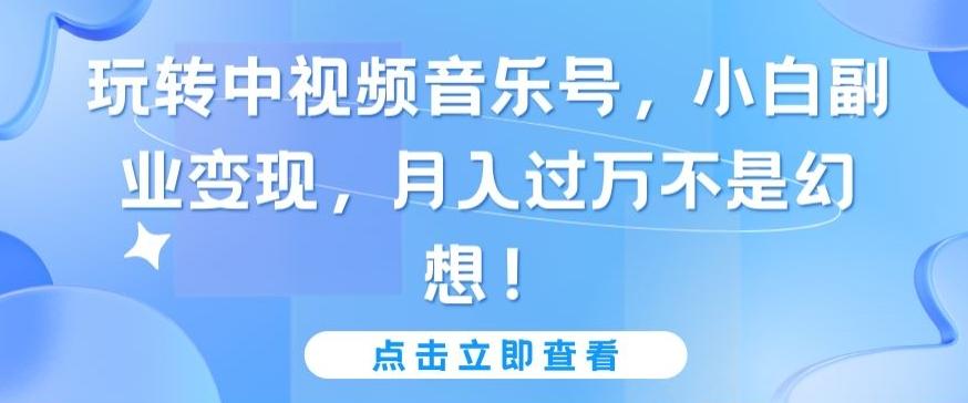 玩转中视频音乐号，小白副业变现，月入过万不是幻想【揭秘】-随风资源网