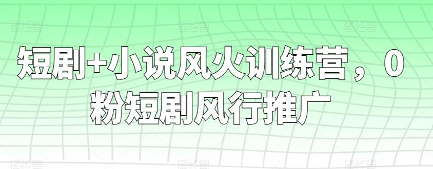短剧+小说风火训练营，0粉短剧风行推广-随风资源网